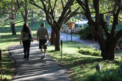 Stroll Garden paths are bordered by a rich variety of trees