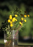 ikebana can incorporate a variety of seasonal organic materials