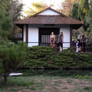 the Japanese tea house offers a quiet view of the garden