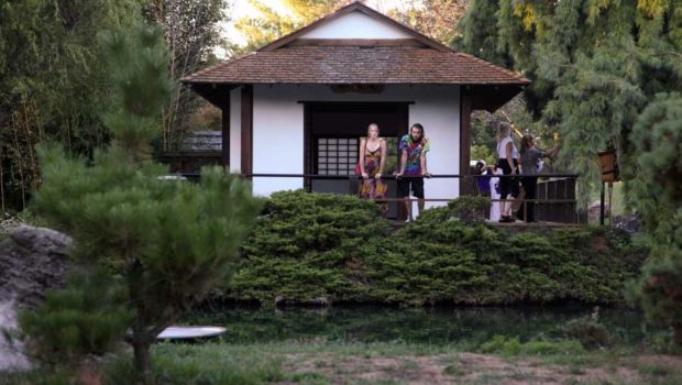 the Japanese tea house offers a quiet view of the garden