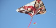Cherry Blossom Kite Festival at the Mizumoto Japanese Stroll Garden