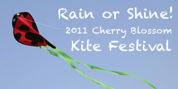 Read more about the article Lighting postpones the Cherry Blossom Kite Festival until Sunday, March 27