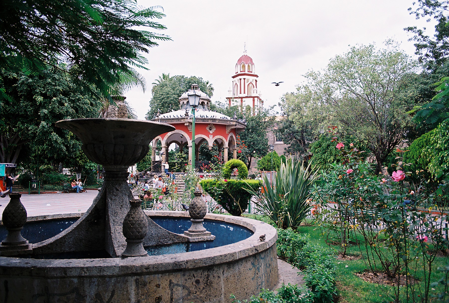 Read more about the article Friends of the Garden trip to Tlaquepaque